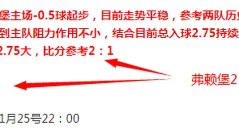 年度最佳篮球运动员荣誉得主，备受关注