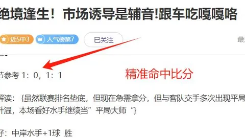 纽维尔老男孩激战防卫者！精准数据对决，刀锋直指胜利之门！